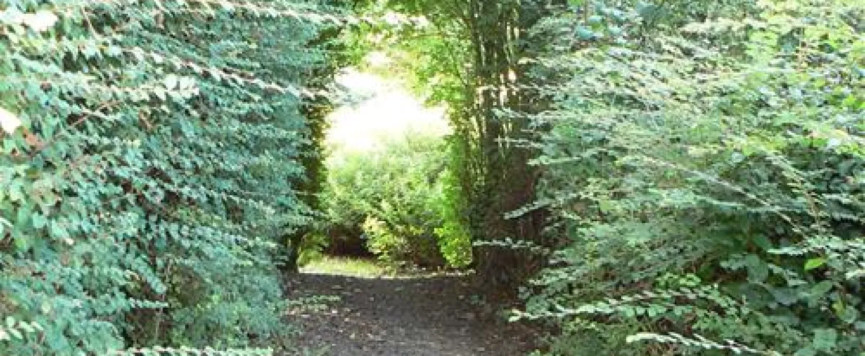 Camping Municipal Du Port