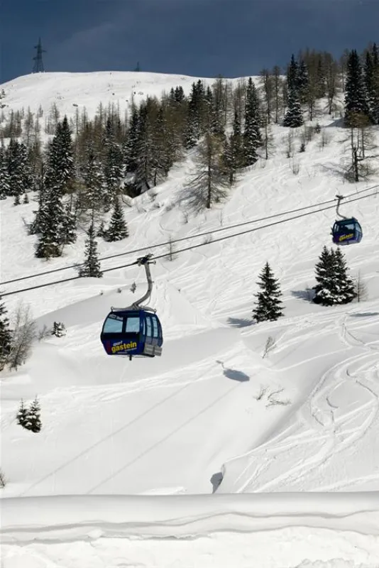 Kur-Camping und Appartementhaus Erlengrund