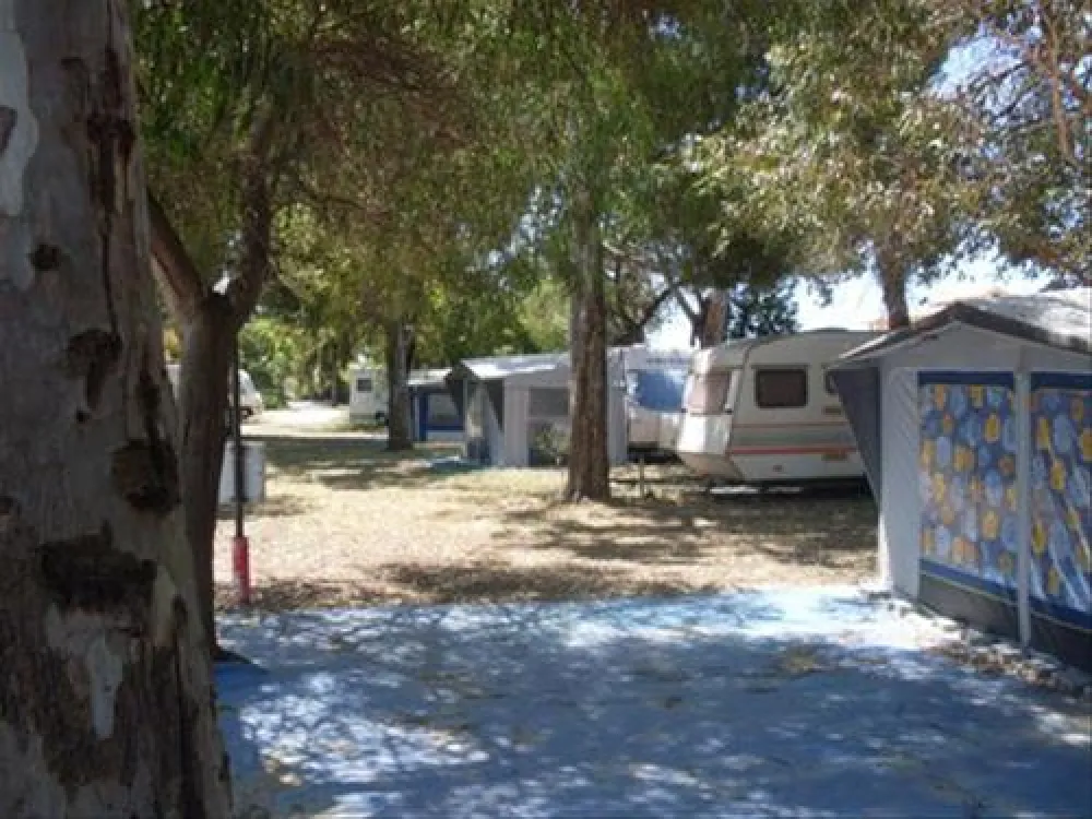 Camping La Palma