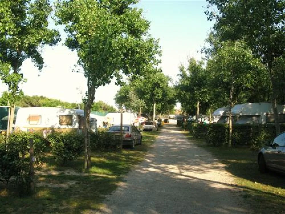 La Creole Camping