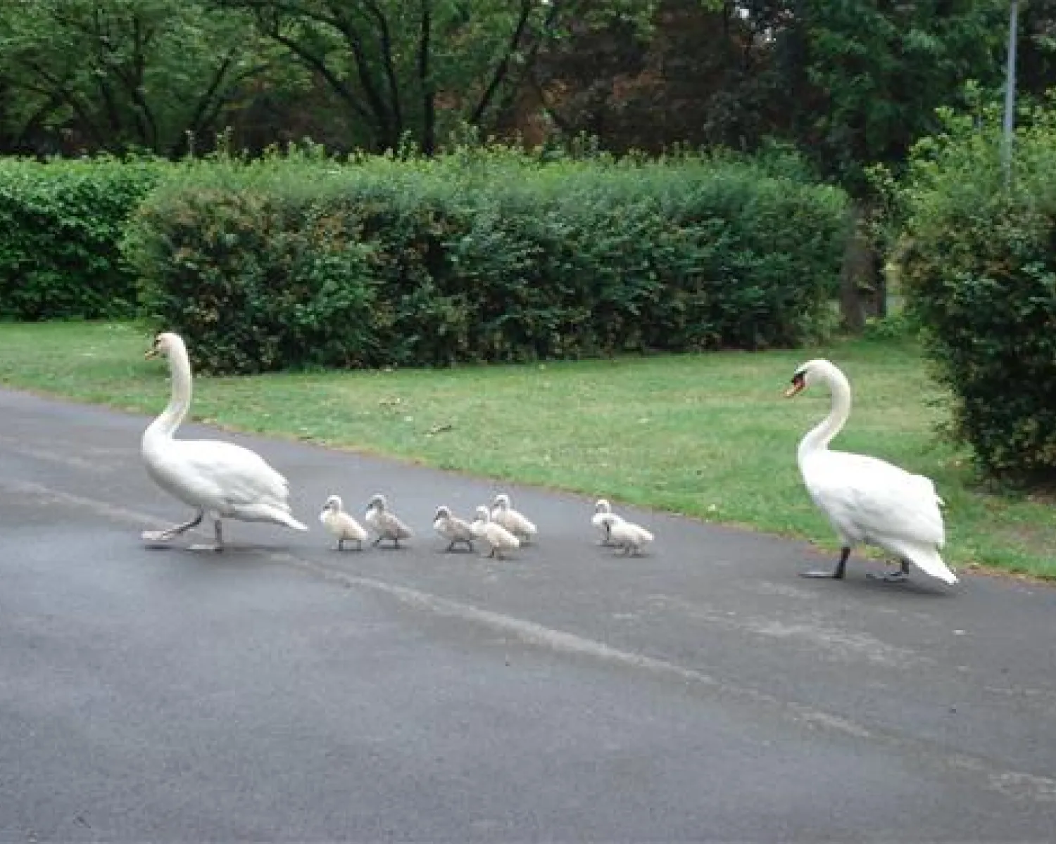 Camping Municipal EPERNAY in Frankreich - Spottocamp - Spottocamp