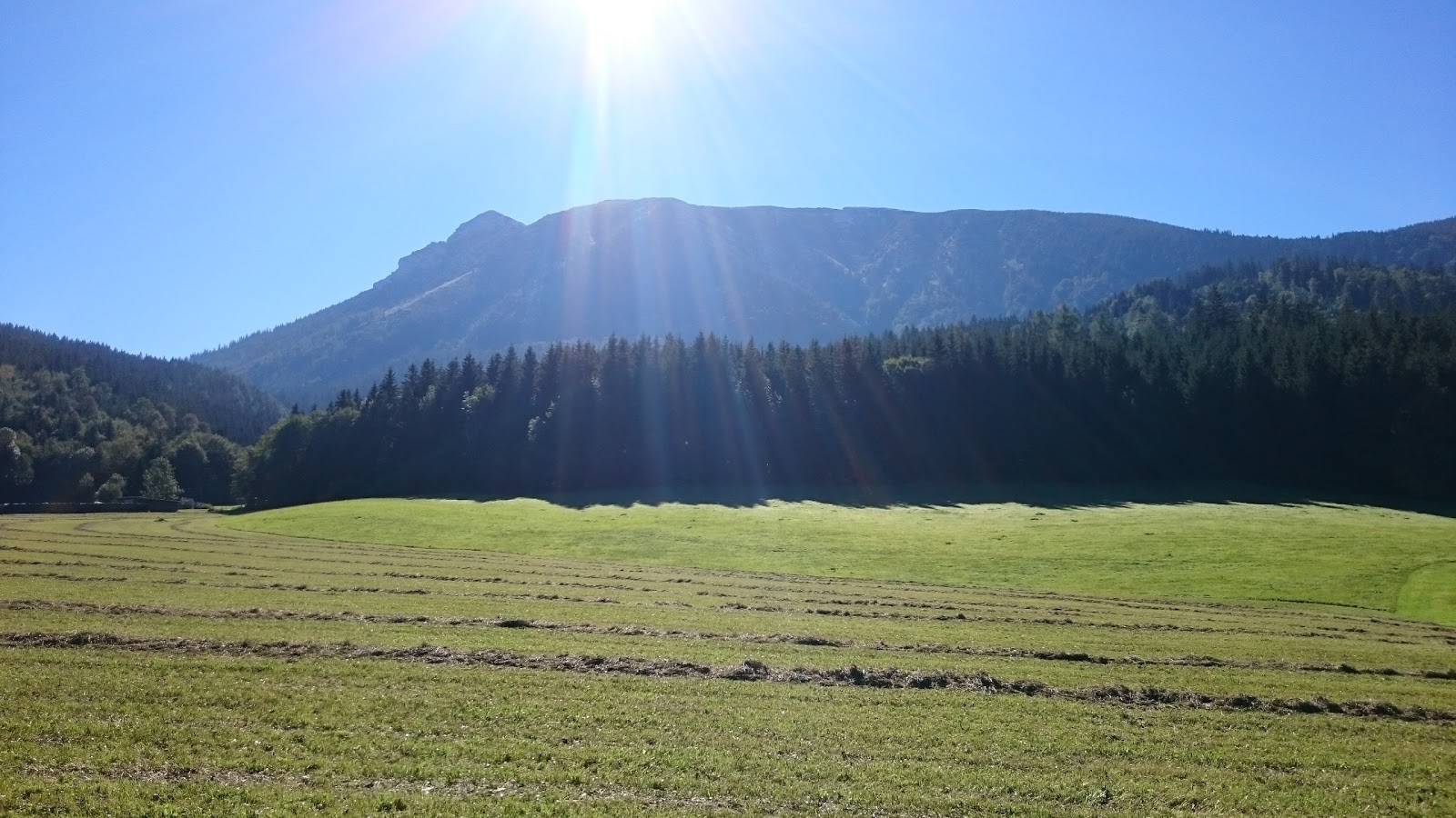 Ötschercamping photo 2