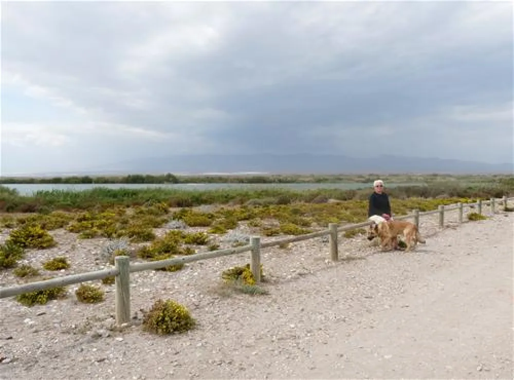 Camping Cabo De Gata