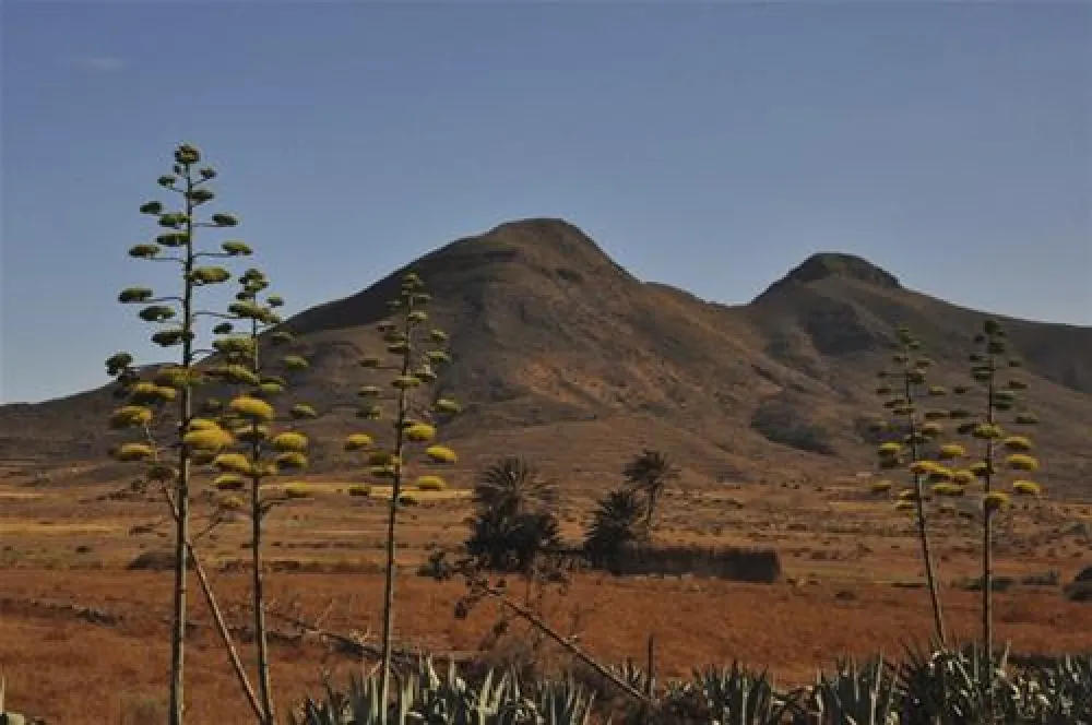 Camping Cabo De Gata