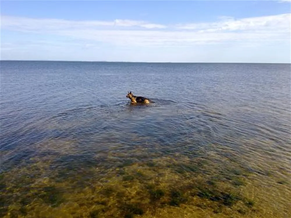 Campingplatz Loissin
