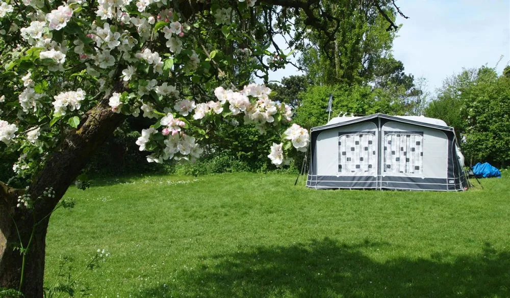 Camping Cassandria Bad