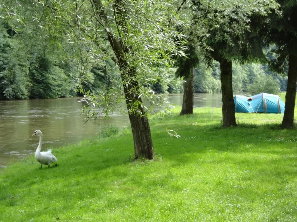 Camping Ile de faigneul