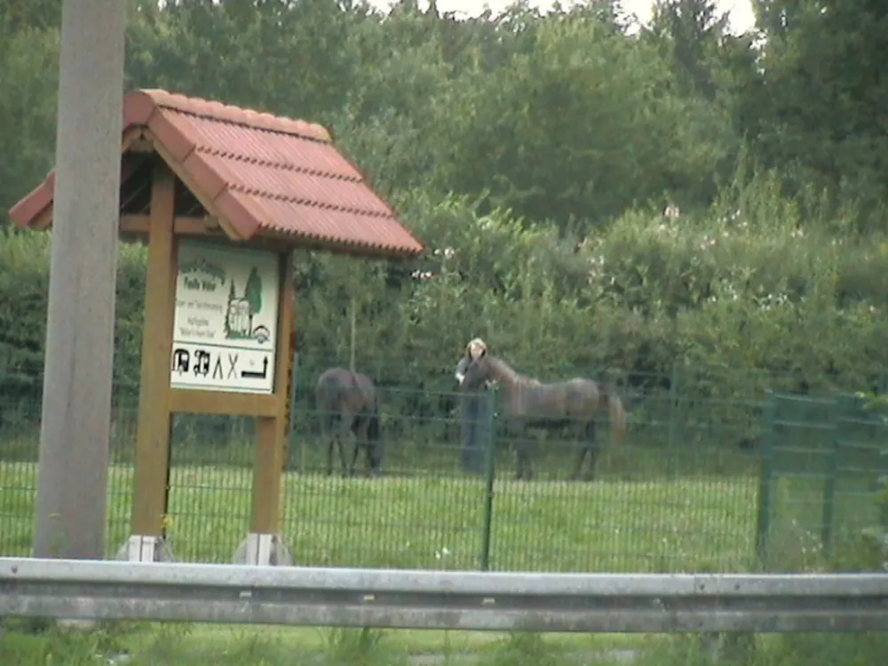 Haard-Camping - Familie Weber