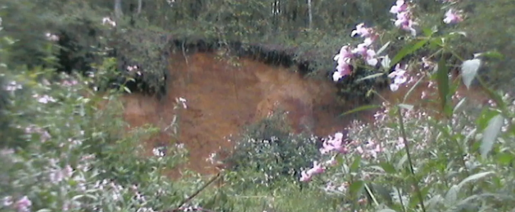 Haard-Camping - Familie Weber