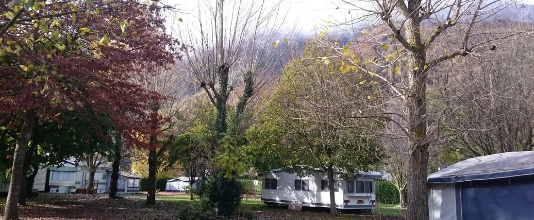 Municipal de Monplaisir