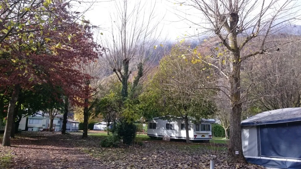 Municipal de Monplaisir