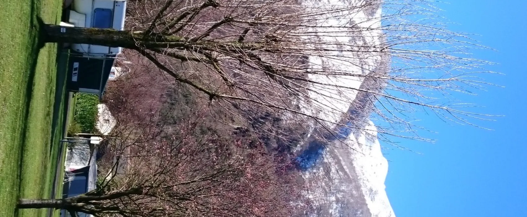 Municipal de Monplaisir