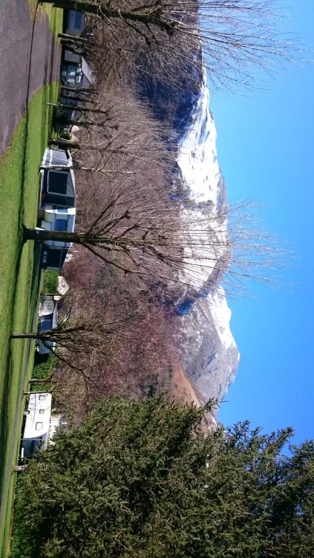 Municipal de Monplaisir