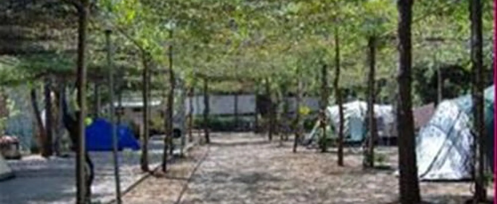 Campeggio La Pantera Rosa