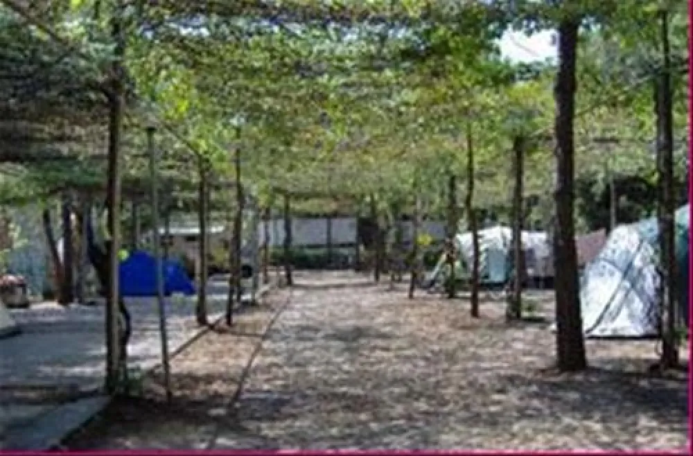 Campeggio La Pantera Rosa