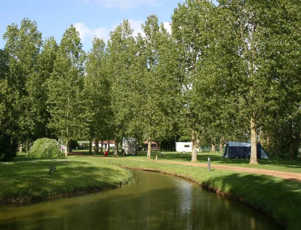 Reedham Ferry Complex