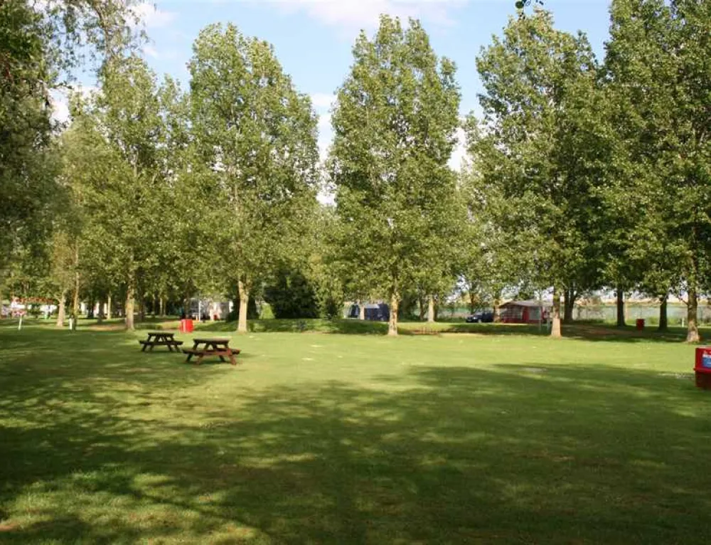 Reedham Ferry Complex