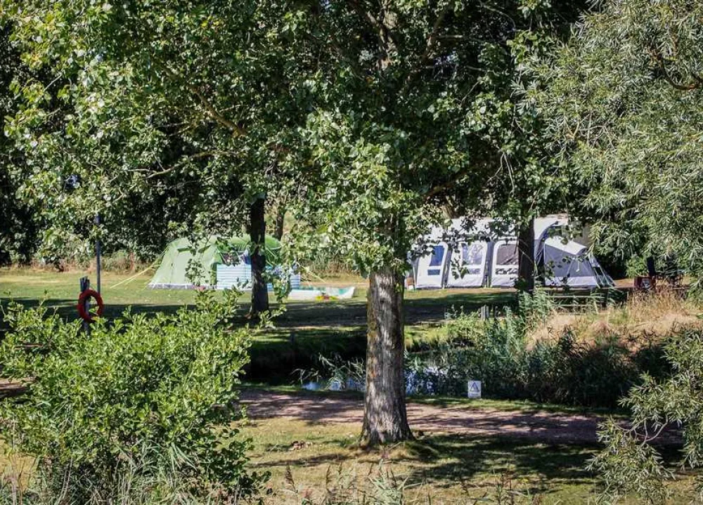 Reedham Ferry Complex