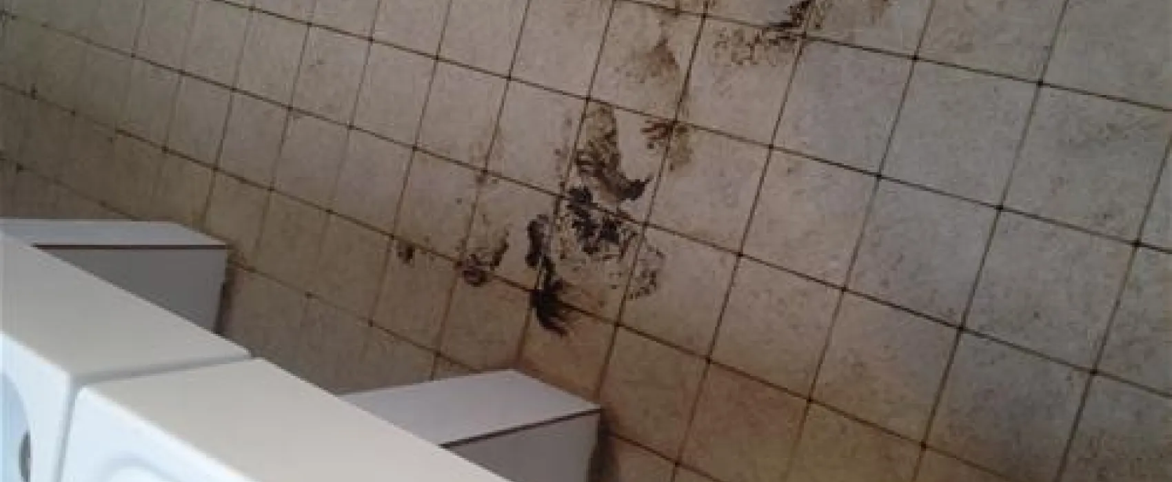 Campeggio Riva dei Butteri