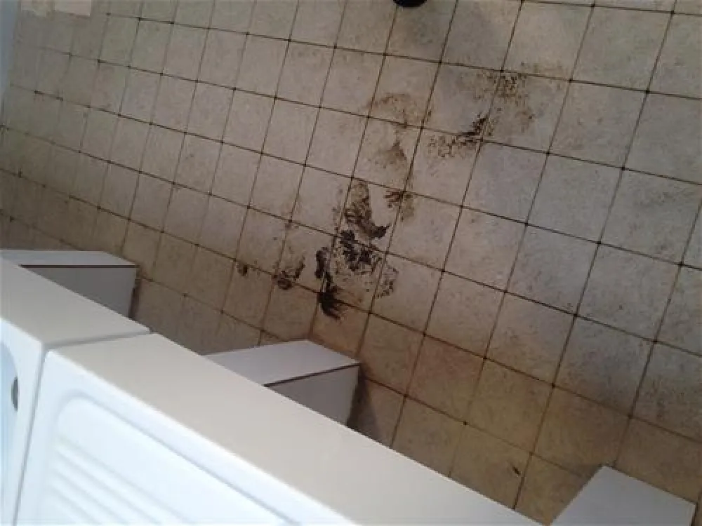 Campeggio Riva dei Butteri