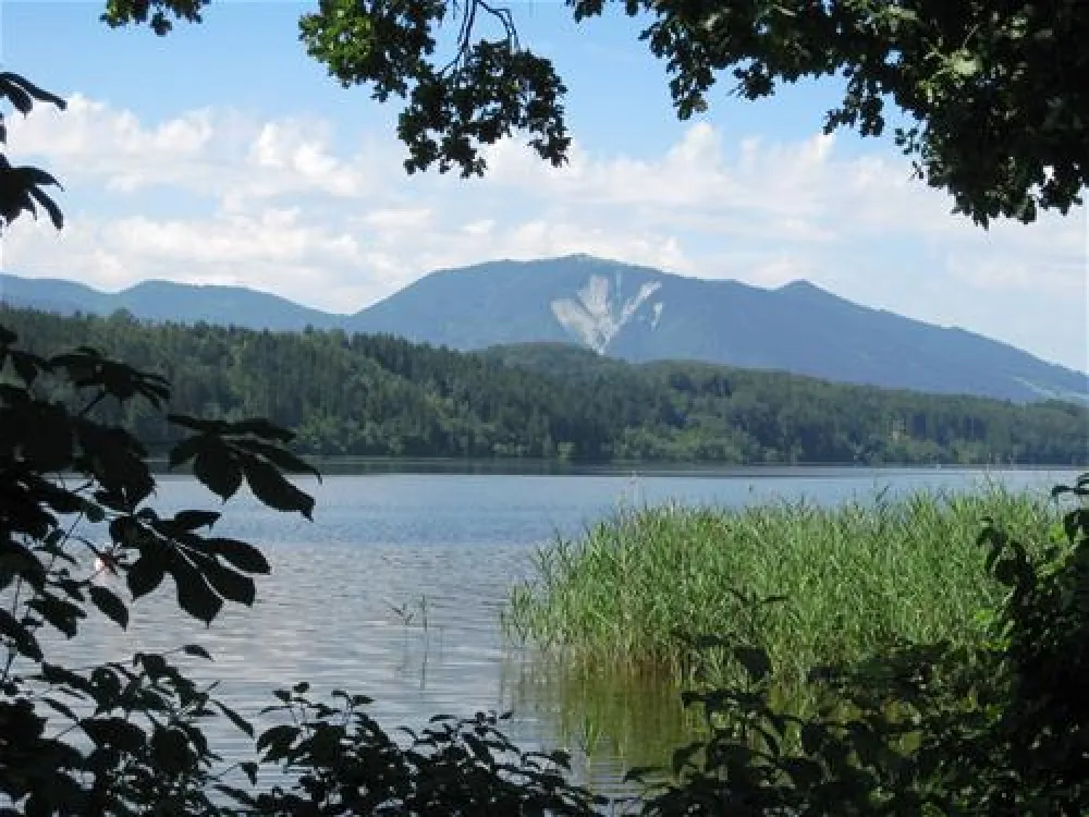 Camping Halbinsel Burg