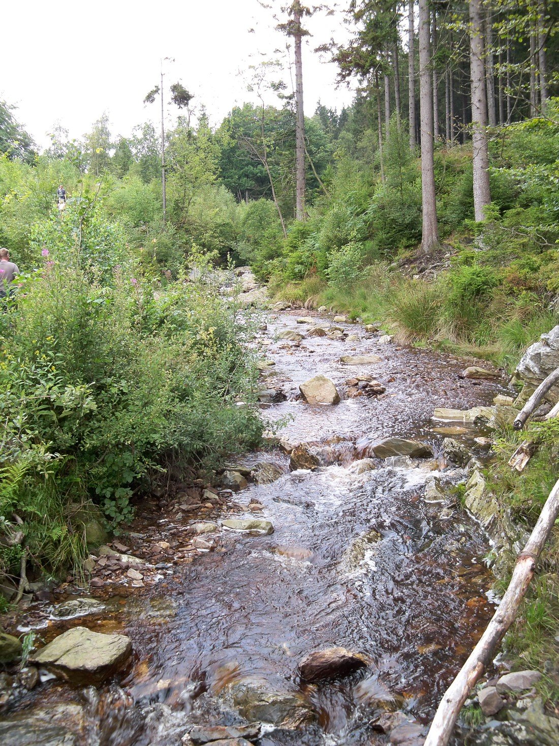 Camping Bleialf in Deutschland - Spottocamp - Spottocamp
