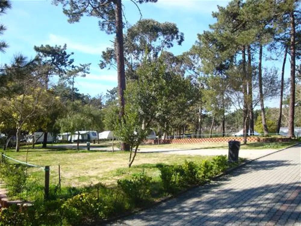 Parque de Campismo Orbitur Caminha