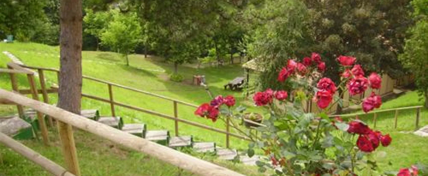 Campeggio Montequestiolo