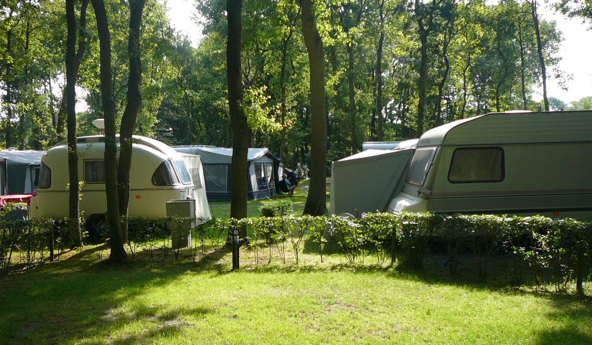 Camping Duinhorst in Niederlande - Spottocamp - Spottocamp