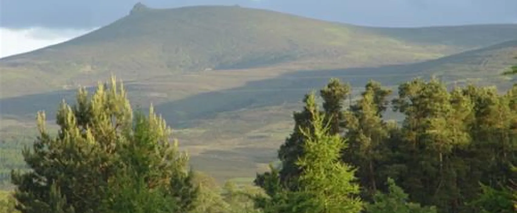 Feughside Caravan Park