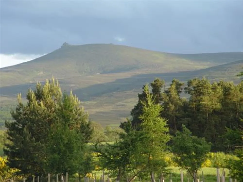 Feughside Caravan Park