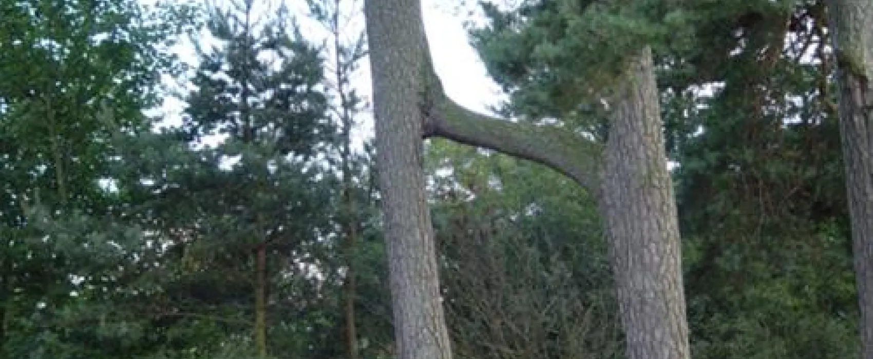 Feughside Caravan Park