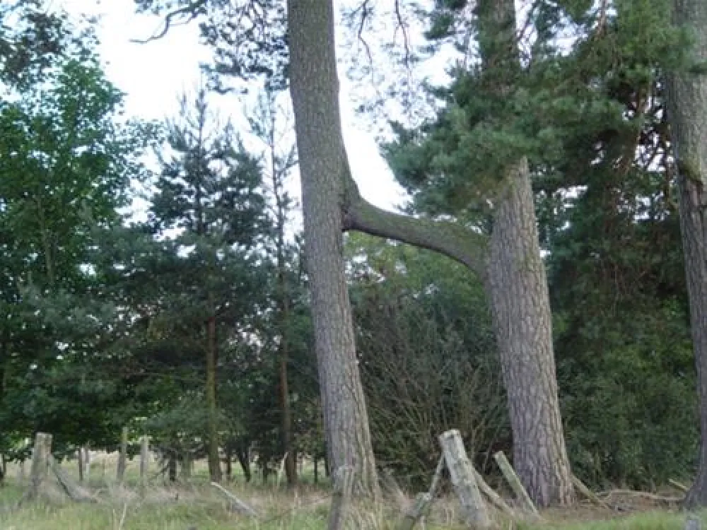 Feughside Caravan Park