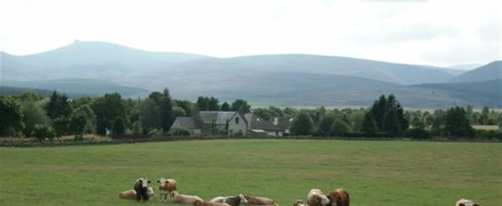 Feughside Caravan Park