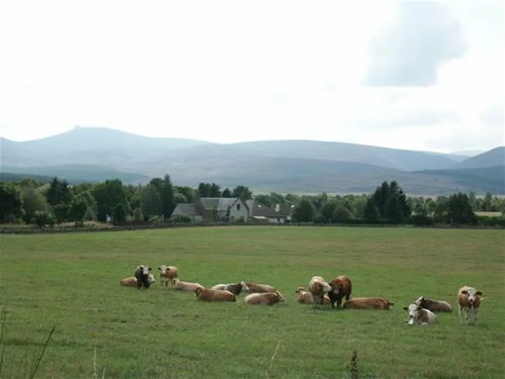 Feughside Caravan Park