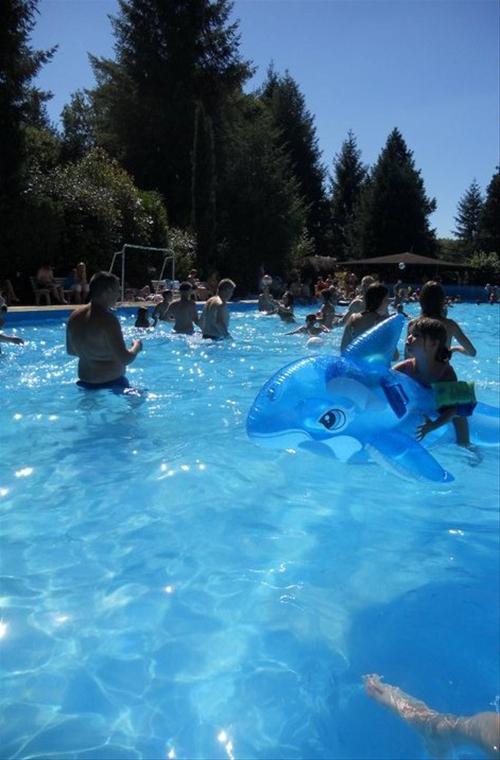 Camping Le Moulin des Sources photo 5