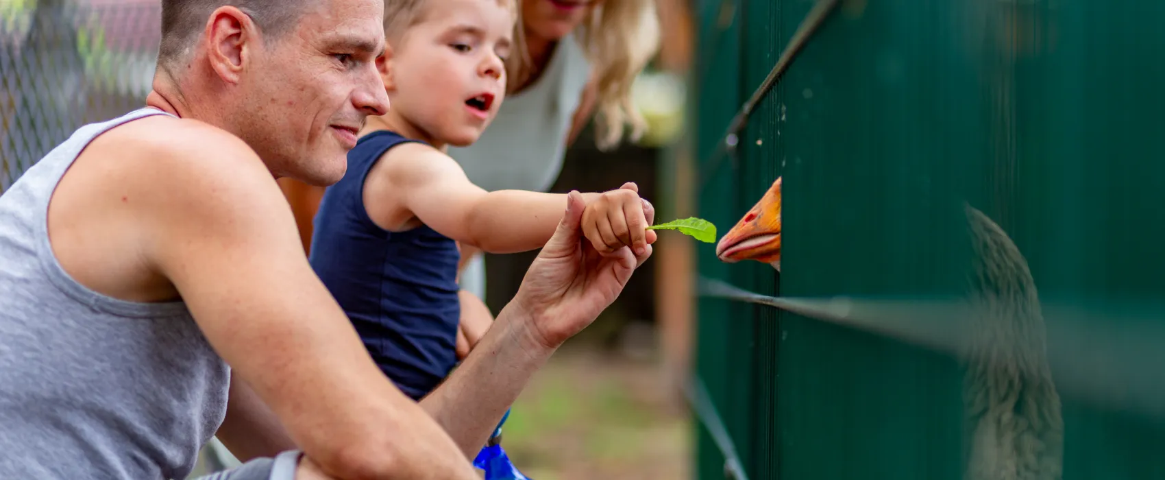 Camping Wusterhausen