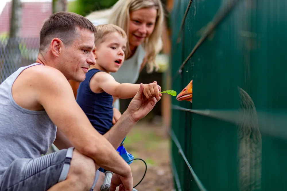 Camping Wusterhausen