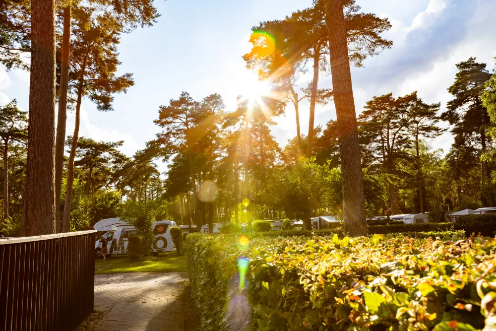 Camping Wusterhausen