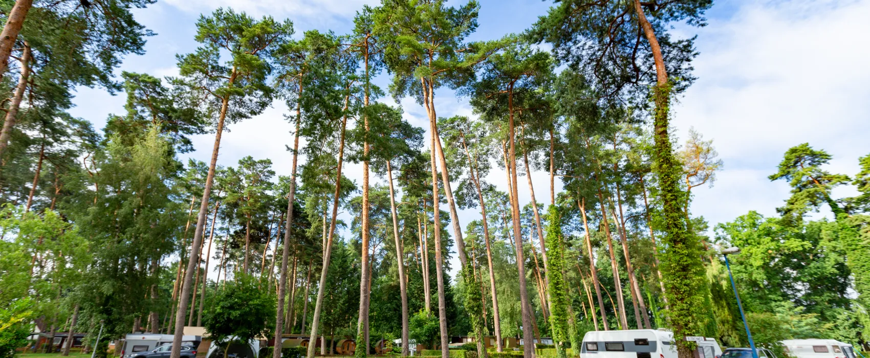 Camping Wusterhausen