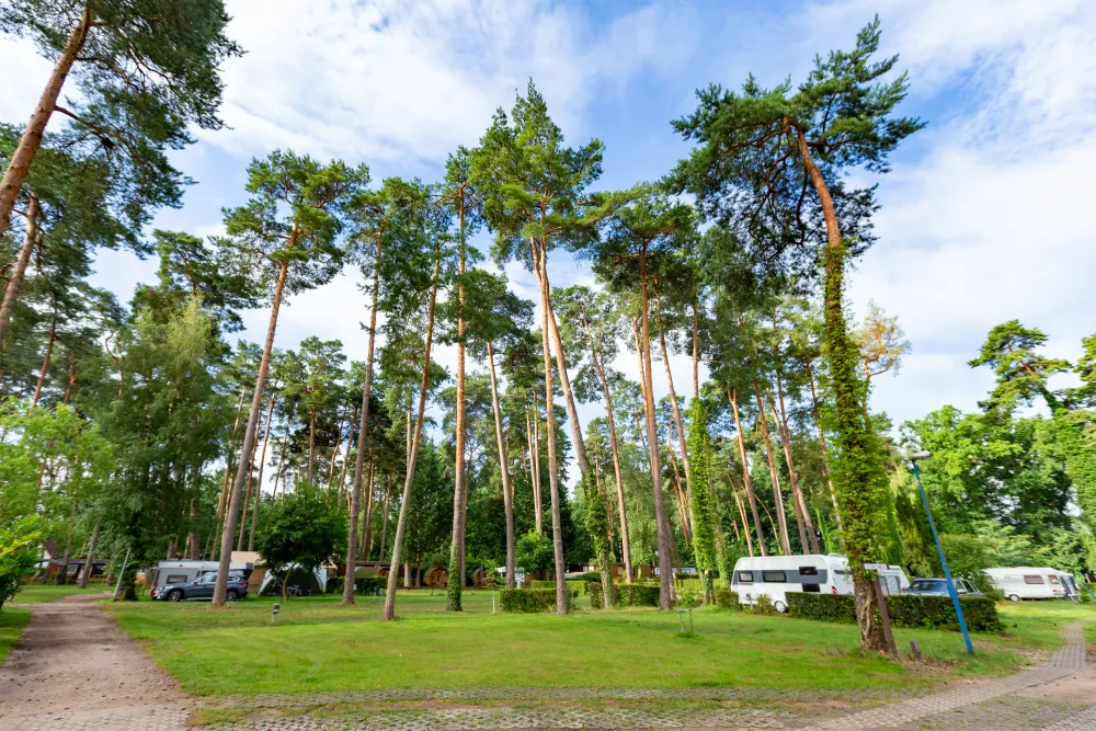 Camping Wusterhausen