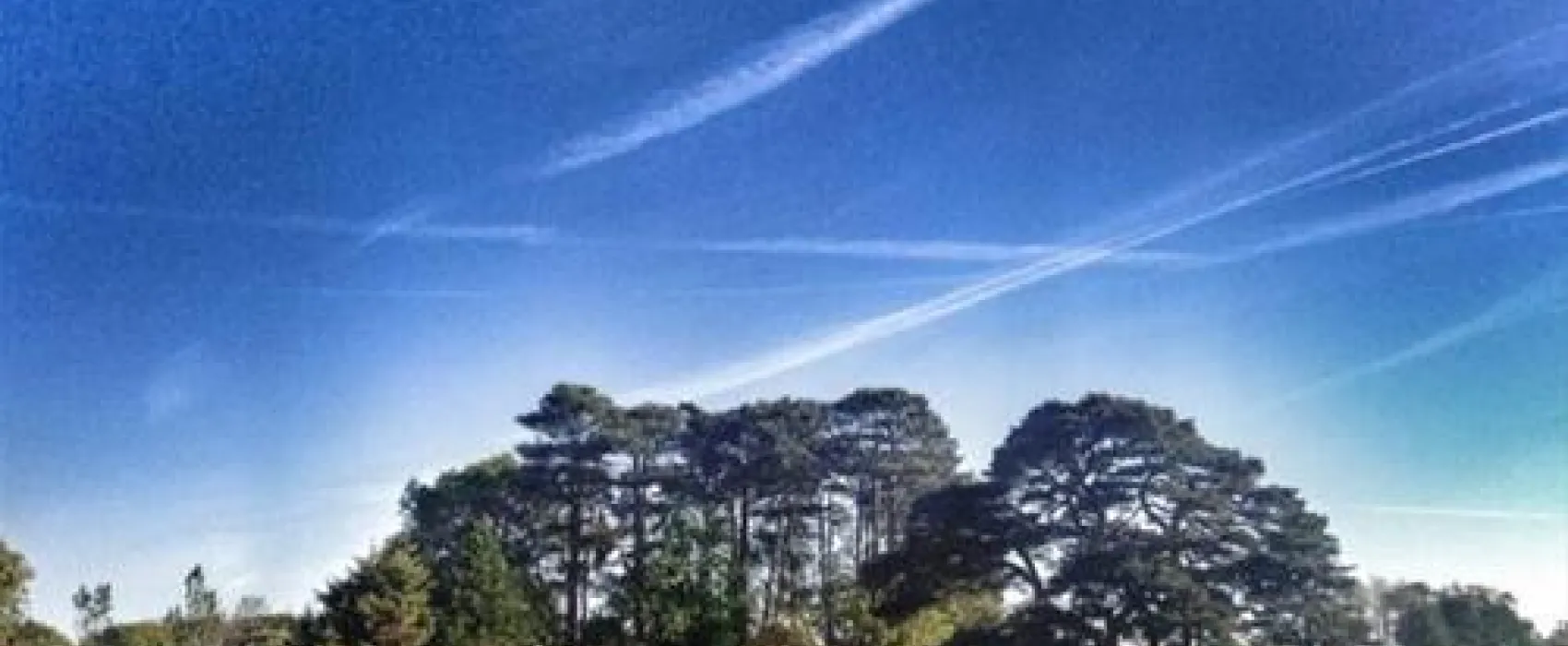 YMCA Family Park & Campsite