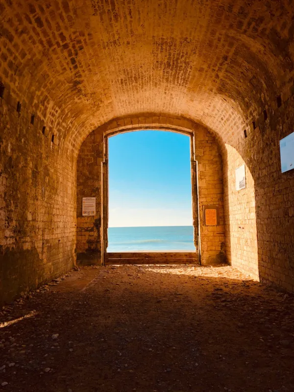 Camping Les Baleines