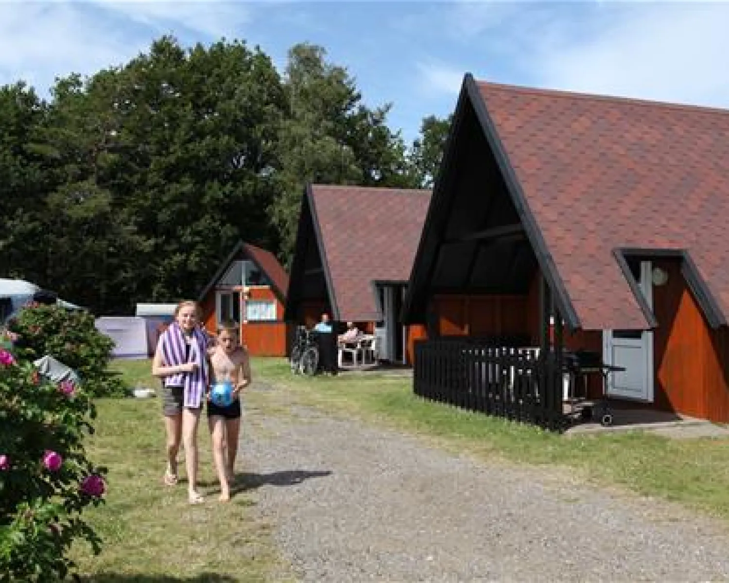 Hedebo Strand Camping in Denmark - Spottocamp - Spottocamp