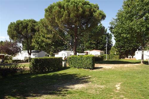 Camping Le Paradou photo 5