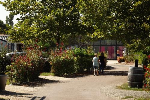 Camping Le Paradou photo 3
