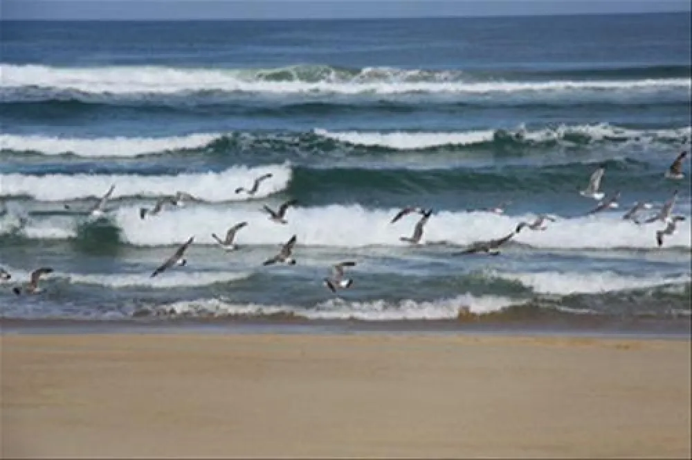 Natu-Resort & Spa - Arnaoutchot