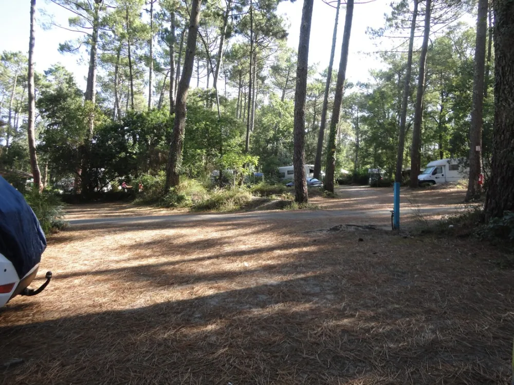 Natu-Resort & Spa - Arnaoutchot