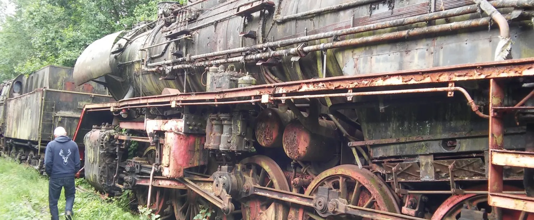 Campingpark Waldwiesen