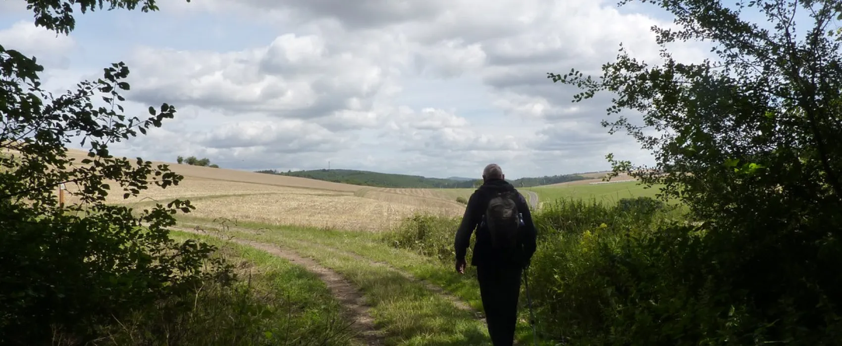 Campingpark Waldwiesen